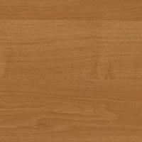 Ольха Горная