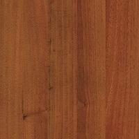 Орех лесной