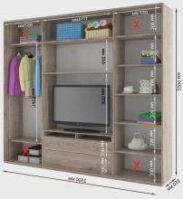 Шкаф купе с встроенной нишей под тв Дом Камелот К 25 (для верхней одежды используется штанга)