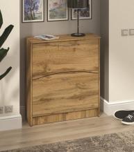 Тумба для взуття недорога Пєхотін Т2 ДСП (тумба в інтер'єрі)